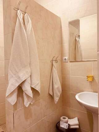 Мини-отель WINE & ROSE BOUTIQUE HOTEL Харьков Двухместный номер с 1 кроватью-6